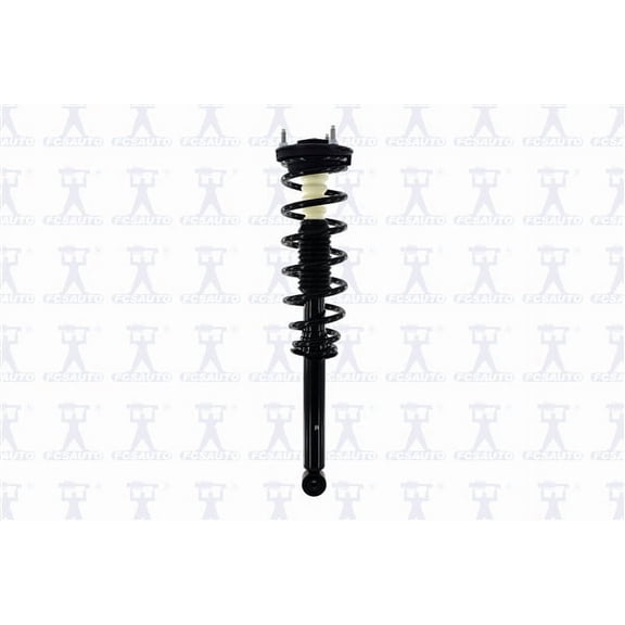 Suspension Strut and Coil Spring Assembly