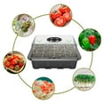 thumbnail image 4 of 12 Cells Seed Tray Seedling Starter Trays Garden Plant Grow Starting Germination Kit Nursery Pots 5pcs Black, 4 of 10