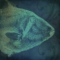 thumbnail image 2 of Marrott, Stephanie 20x20 White Modern Wood Framed Museum Art Print Titled - Fish I, 2 of 4