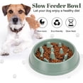 thumbnail image 2 of Comedero lento para perros, platos para perros pequeños, medianos y gatos, antideslizantes, alimentación lenta, saludable, cuenco para cachorros, rompecabezas, cuenco para perros y mascotas,Verde, 2 of 5