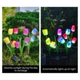thumbnail image 4 of Solar Powered Tulip Flower Lights Garden Lights 4 Colors Waterproof LED Decoration Lamps Holiday Xmas 4th of July Decorations for Landscape Yard Patio Walkway, 4Pcs Pink, 4 of 8