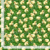 Cotton Just Hatched Collection Chicks on Grass Ducks Cotton Timeless Treasures Fabric Print by the Yard (Dona-CD3252-green)
