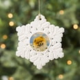 thumbnail image 3 of CafePress - Pomeranian In Daisies (Orange) - Snowflake Ornament, 3 of 3