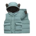 thumbnail image 6 of Esaierr Toddler Fleece Vest Jacket Coats for Boys Girls,1-7Y Baby Thickened Warm Sleeveless Fleece Jacket Kids Winter Vest Outwear with Pockets, 6 of 7