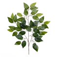 thumbnail image 1 of Green Ficus Leaf Spray Faux Plants & Trees, 1 of 1