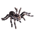 thumbnail image 2 of Figuras de animales realistas de Flormoon - Modelo de acción de araña Figuras de juguete de insectos realistas Flormoon Flormoon, 2 of 2