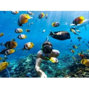GoPro HERO6 Black 4K Action Video Camera