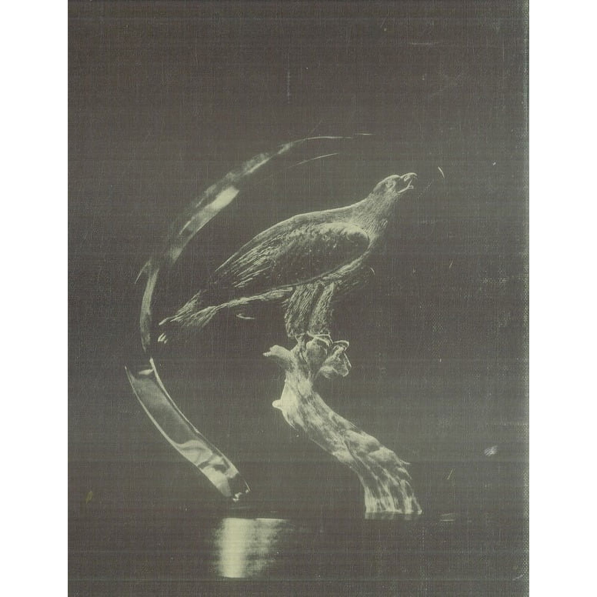 (Custom Reprint) Yearbook: 1979 University of Science and Arts of Oklahoma - Argus Yearbook (Chickasha OK)