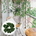 thumbnail image 5 of Zcyifa Vines for Bedroom 12Pcs Artificial Vines Fake Hanging Vines Fake Plant Vines Decorative Artificial Ivy Wall Hanging Decors, 5 of 10