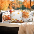 thumbnail image 3 of DaShan Fall Throw Pillow Covers 18x18 Set of 4,Thanksgiving Autumn Pumpkin Pillow Cases for Bedroom Sofa Couch, 3 of 6