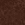 Brown, variant on Women's Studded Gladiator Sandals