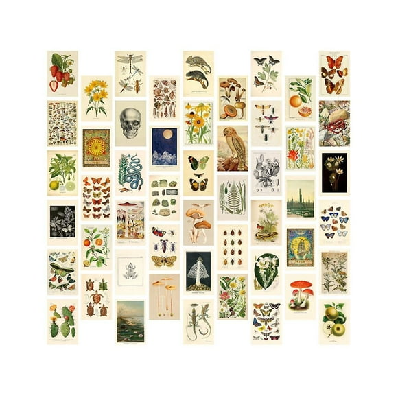 Vintage Aesthetic Wall Collage Kit - 50 Mini Botanical Cottagecore Collage Art Posters (4 x 6), for Trendy Photo Wall
