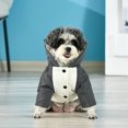 thumbnail image 5 of ZHAOCHENG Abrigos para perros con arnés Abrigos para perros pequeños Abrigo de invierno para perros Abrigo impermeable para perros Abrigos de invierno para perros medianos para Chihuahua Yorkie Maltés, 5 of 5