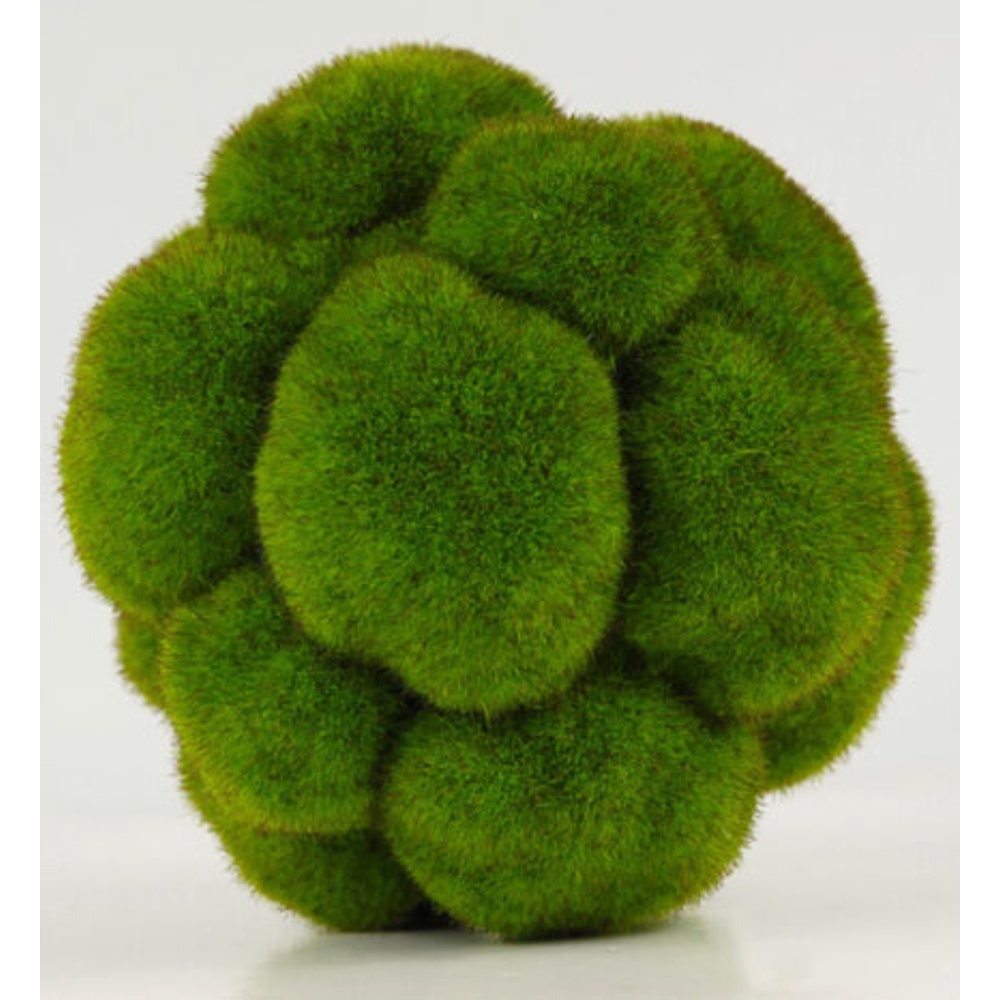 Cushion Moss Ball 5in. Faux Moss Ball 5in. Wide