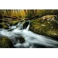 thumbnail image 2 of Amos, Andy 24x17 Gold Ornate Wood Framed with Double Matting Museum Art Print Titled - Fallen Timber, 2 of 4