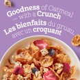 thumbnail image 4 of Oatmeal Crisp Triple Berry Jumbo, 4 of 10