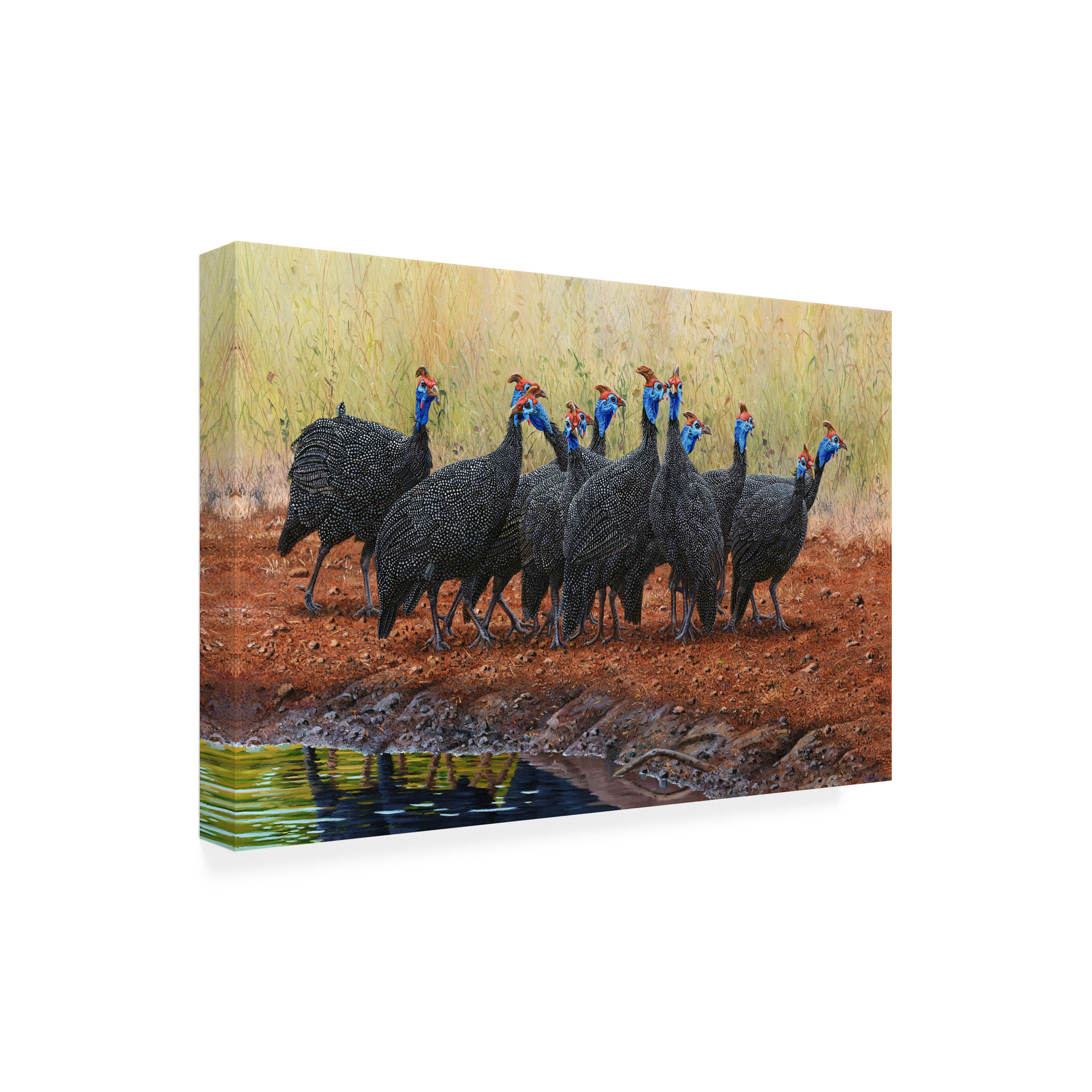 Canvas Wall Art - Delene Lambert 'Guinea Fowl Jive Talking' Wall Art for Living Room, Bedroom, or Office DÃ©cor by Trademark Fine Art - 24 x 16 Inches