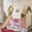 Pink, variant on Morufur Twin Size House Loft Bed with Sills and Tents, Solid Wood Loft Bed with Ladders and Slide, Chic Design with Lights, No Box Spring Needed (Natural-Blue)