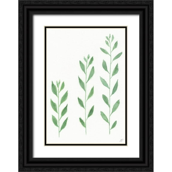 Lee, Judson 11x14 Black Ornate Wood Framed with Double Matting Museum Art Print Titled - Three Wild Stems