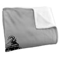 thumbnail image 3 of Harry Potter Slytherine Crest Silky Touch Super Soft Throw Blanket 36" x 58", 3 of 6