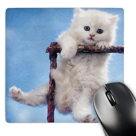 3dRose  Puffs In Blue  MousePad price history on PriceWatchPro