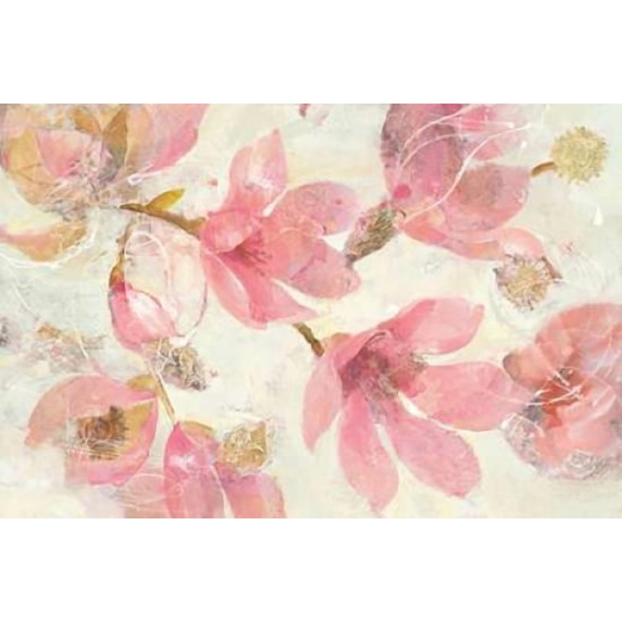 Magnolias in Bloom on White Canvas Art - Albena Hristova (24 x 36)