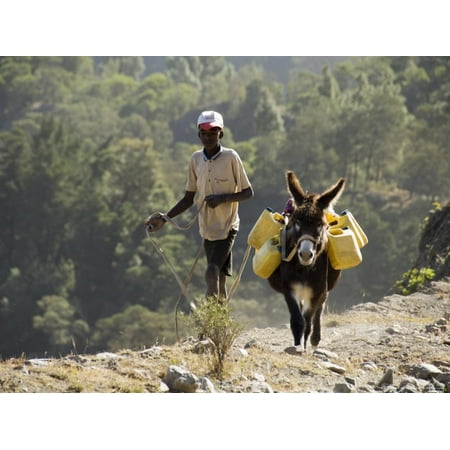 Donkey Carrying Water, Santo Antao, Cape Verde Islands, Africa Print Wall Art By R H (Best Cape Verde Island To Visit)