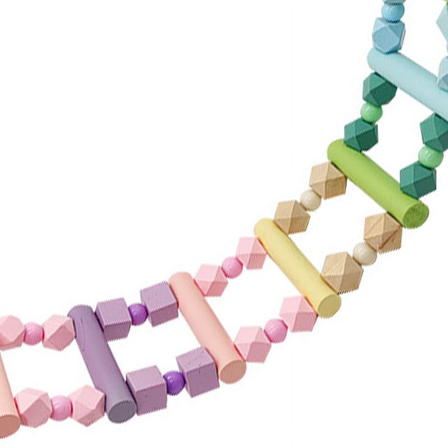 Parrot Swing Bridge,Bird Ladder Bridge Hanging Bird Hanging Ladder Bird Toys Highly Versatile