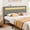 Drak Gray, variant on Rolanstar Twin Size Headboard Only - Wall Mount Upholstered Head Board with LED Lights, Charging Station & Soft Padding,White