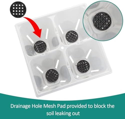 RibRave 80 Pack Reusable 4-Cell Clear Seed Starter Trays - Extra Large Drainage Holes, Easy Transplant, Clear Transparent Tray for Root Observation, Seed Starting, Fits Standard 1020 Flats