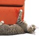 thumbnail image 5 of Adhesivo protector de puerta para sofá de entrenamiento con cinta antirrayas para gatos (5 m) JM, 5 of 5