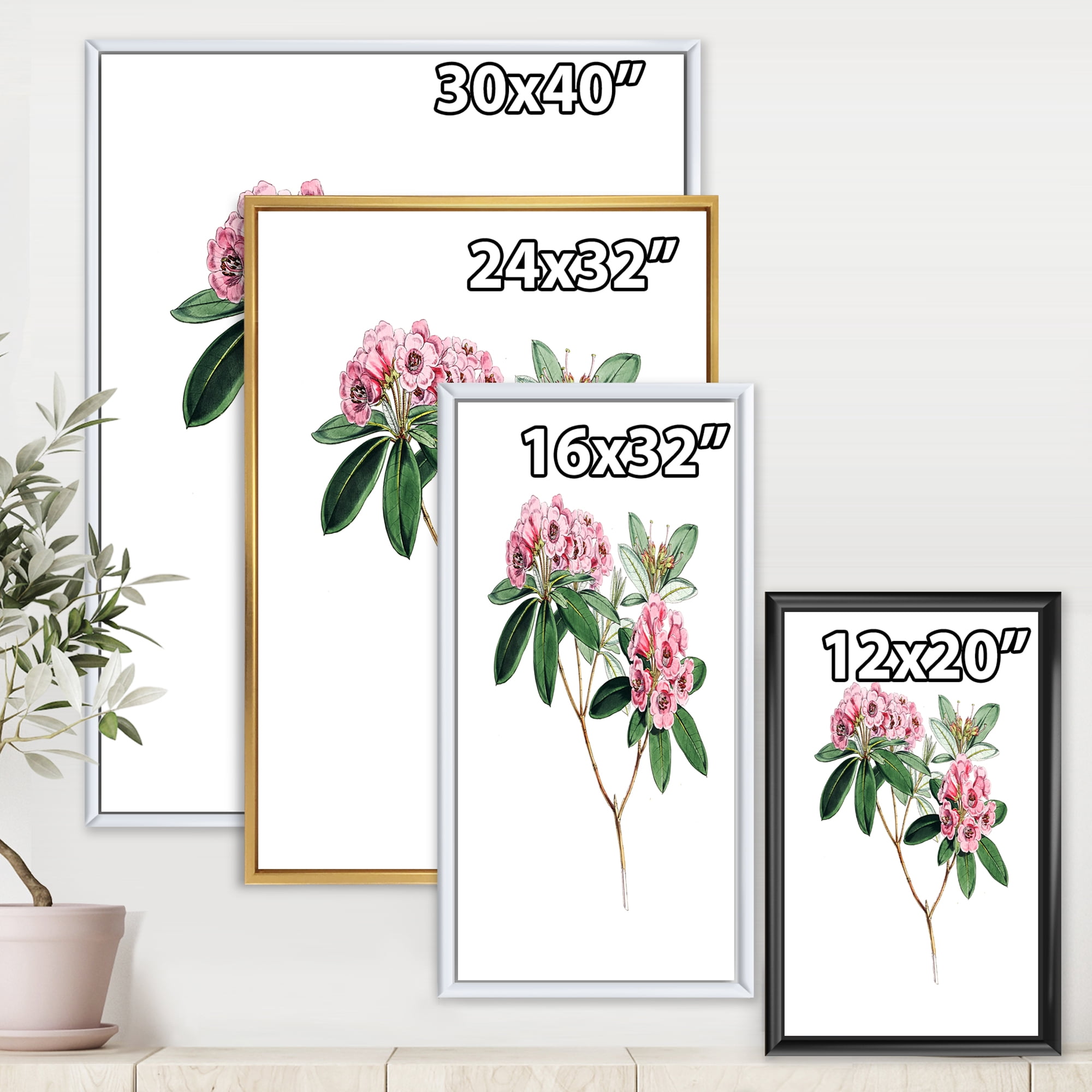Designart 'Ancient American Flora II' Traditional Framed Canvas Wall Art Print