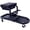Black + Steel, variant on Utility Cart with Seat for Car Detailing, Garage & Garden - 300 lbs Capacity, Black Steel Rolling Cart