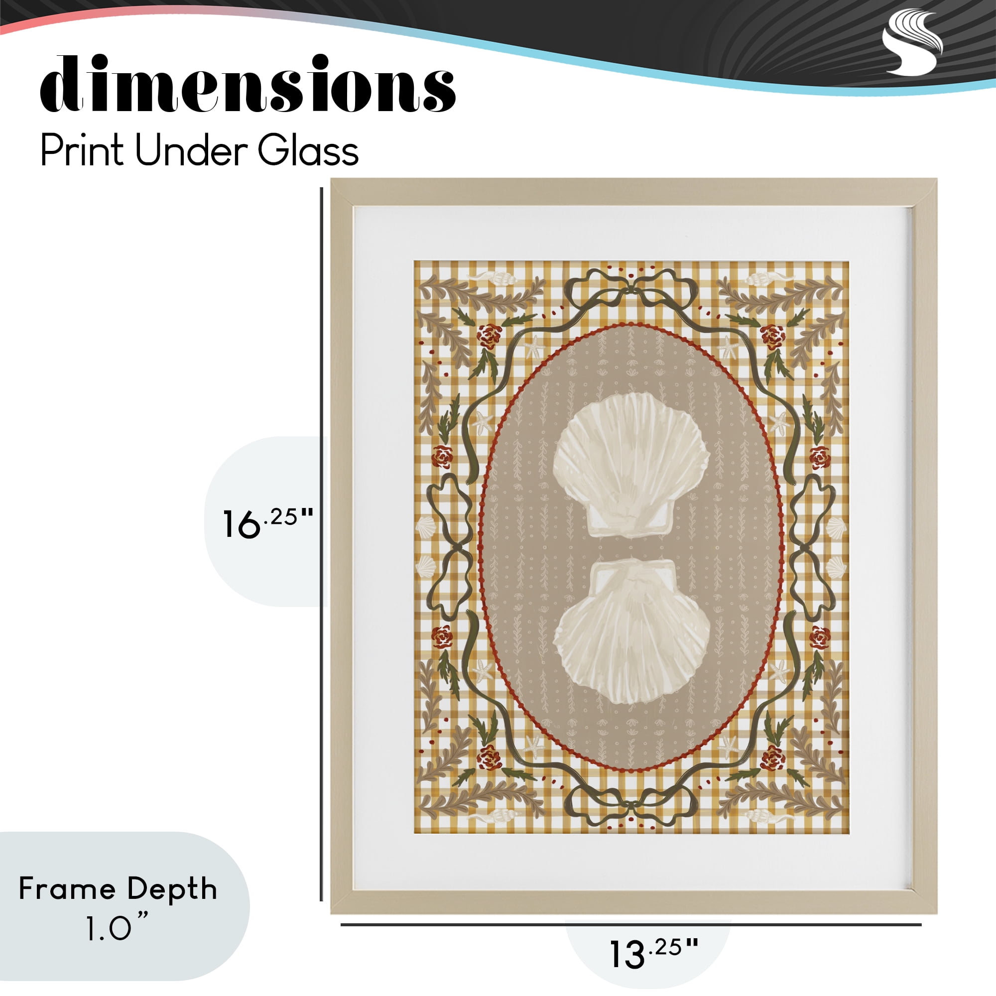 Stupell Industries Vintage Shells on Gingham Birch Framed Print Under Glass, design by Vero Illustrates