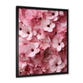 thumbnail image 2 of Designart "Cherry Orchard in Bloom III" Floral Framed Wall Art - Traditional Pink Cherry Entryway Framed Wall Art, 2 of 6