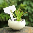 thumbnail image 4 of 100 Uds tipo T jardín plástico etiqueta flores maceta planta signos tarjeta (blanco) Likrtyny Libre de BPA, 4 of 4