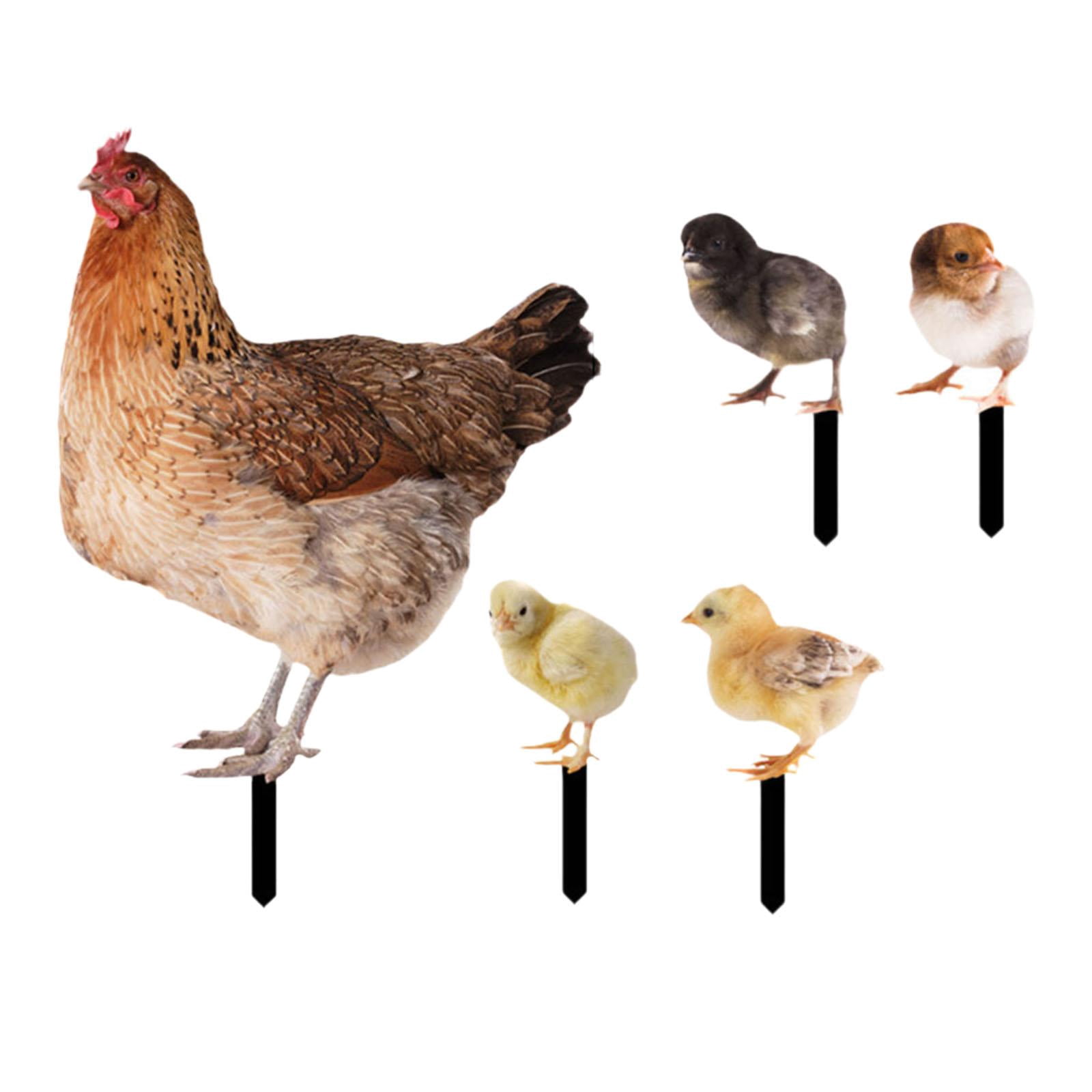 simhoa 5Pcs Hen Statue Garden Stakes Chicken Figurines Ground Insert Yard Sign Yard Art Animal Sculptures for Lawn Patio Floor Decor