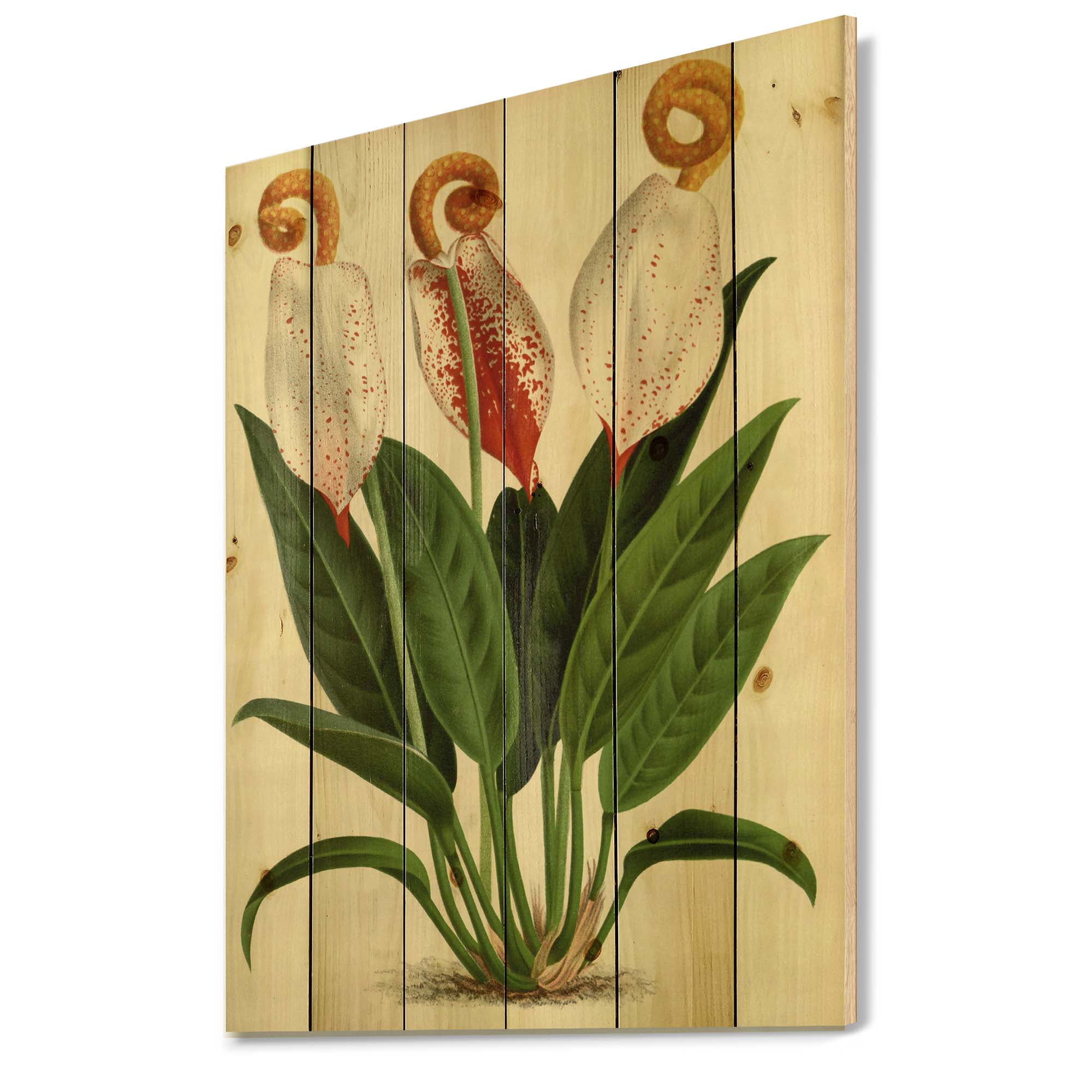 Designart 'Retro Wildflowers' Farmhouse Print on Natural Pine Wood