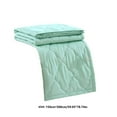 thumbnail image 3 of Weloille Skin-friendly Plain Printed Washed Cotton Summer Quilt Ventilation Quilt (78.74x59.05in, Mint Green), 3 of 8