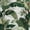 Color 1, variant on Peel and Stick Wallpaper Tropical Jungle Foliage Green Palms Detailed Leaves Wall Mural 17.7in x 9.8ft Self Adhesive Removable Wall Paper Renter Friendly Wallpaper for Nursery Bedroom Cabinets
