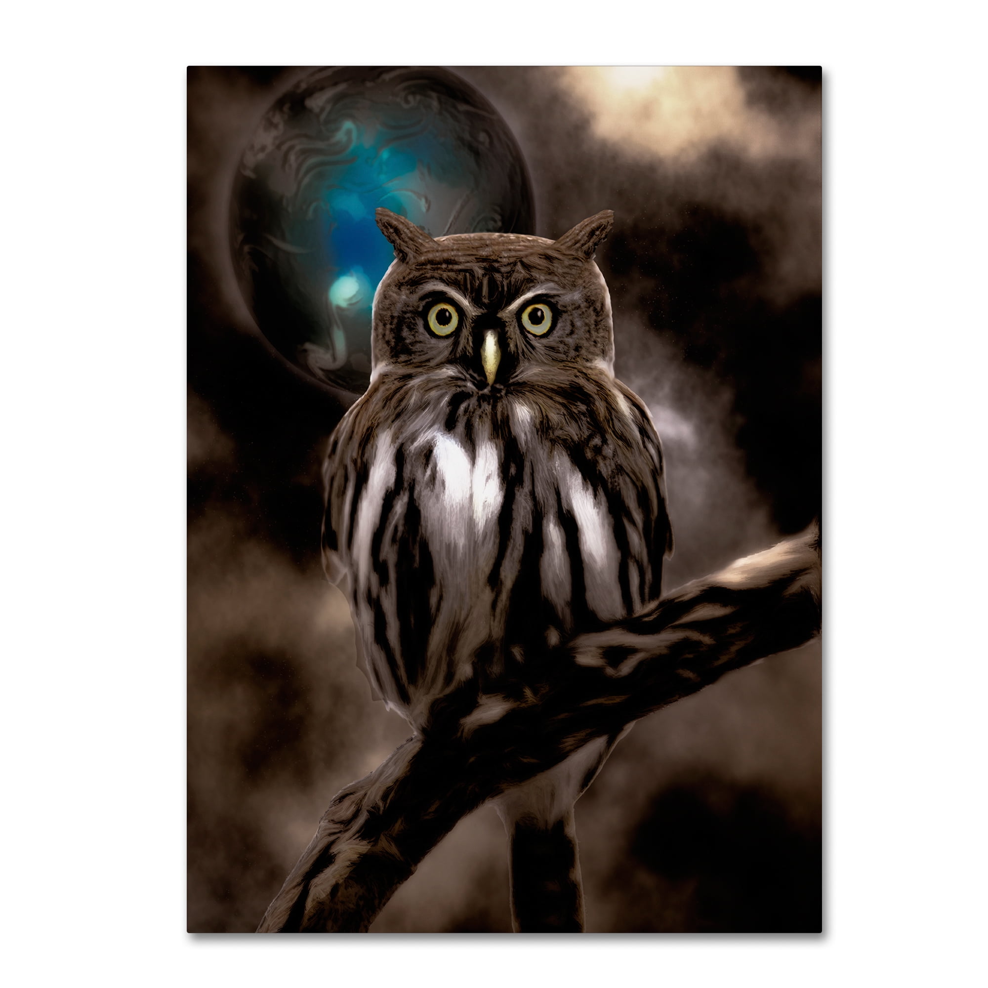 NIGHT OWLS / 7インチ / 5枚セット 3a708be6-d8e4-4a7a-a530-