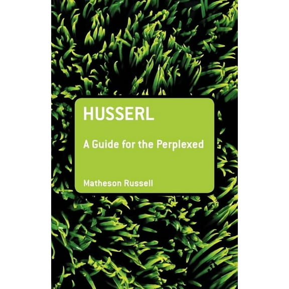 Guides for the Perplexed: Husserl: A Guide for the Perplexed (Paperback)