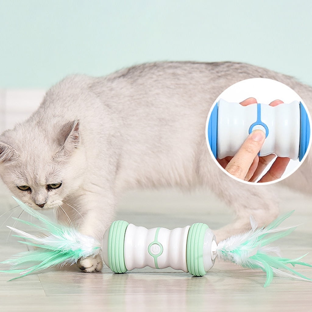 Pet Toy Robot Kitten Toy Light Kitten for Chew Interactive Toy Colorful Light Catching Exercising Toy