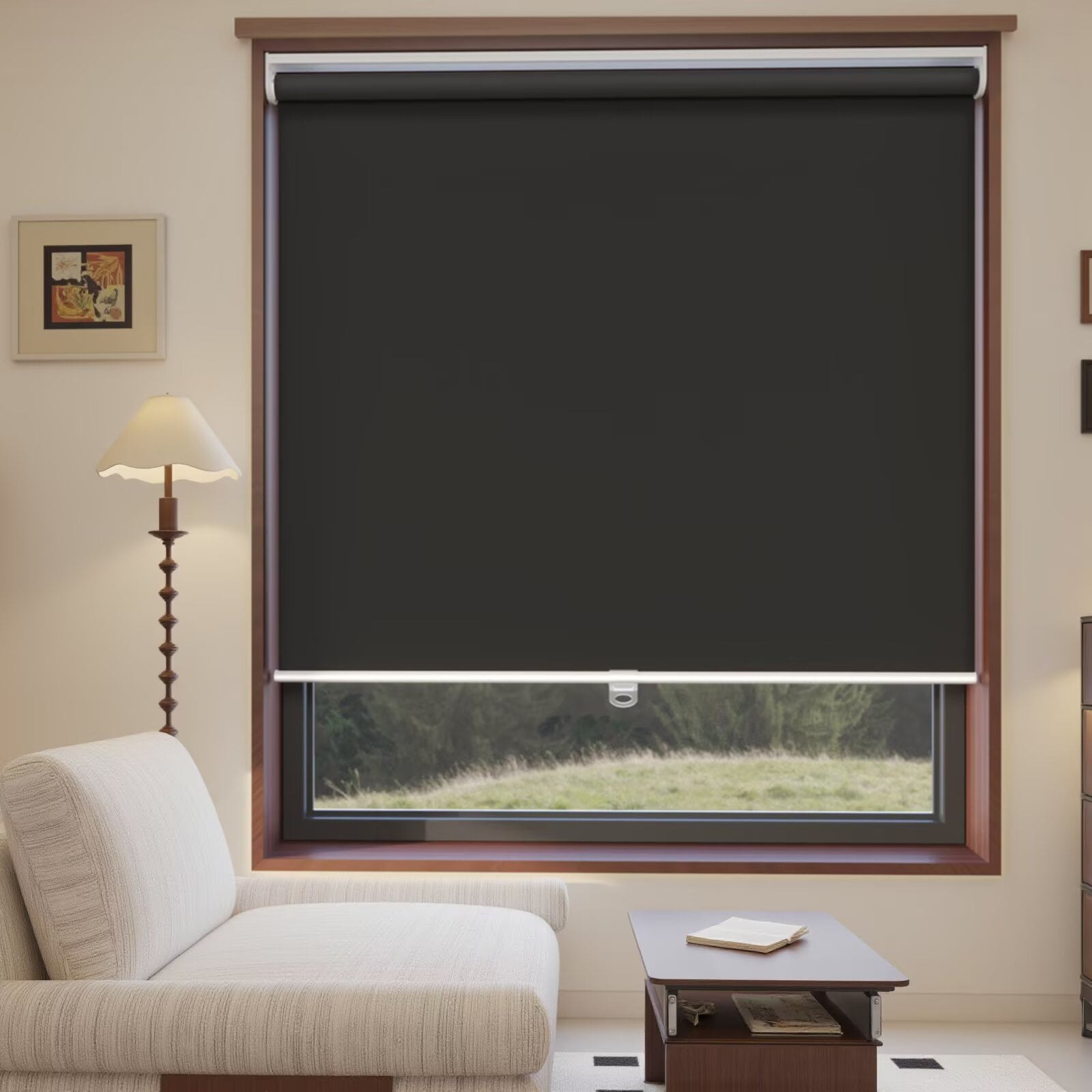 MYshade Cordless Blackout Roller Shades for Windows Black-37"W*72"H Room Darkening Rolled up Blinds with Spring System Pull Down Shades Window Blinds for Home