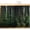 Green, variant on Green Forest Sink Skirt 10"W x 11"L,Dustproof Under Sink Curtain Skirt for Bathroom Kitchen,Mysterious Primitive Forest Pine Tree Adhesive Short Vanity Curtains Cover for Laundry Closet Shoe Rack