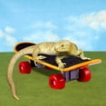 thumbnail image 5 of Ikohbadg Hot Selling Pet Helmet Skateboard Set Of 3 Pet Engineering Hat Hard Hat Hamster Lizard Parrot Toy, 5 of 6