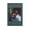 Unframe-style, variant on Mac DeMarco Salad Days Poster 5 Wall Art Poster Gifts Bedroom Prints Home Decor Hanging Picture Canvas Painting Posters 24x36inch(60x90cm)