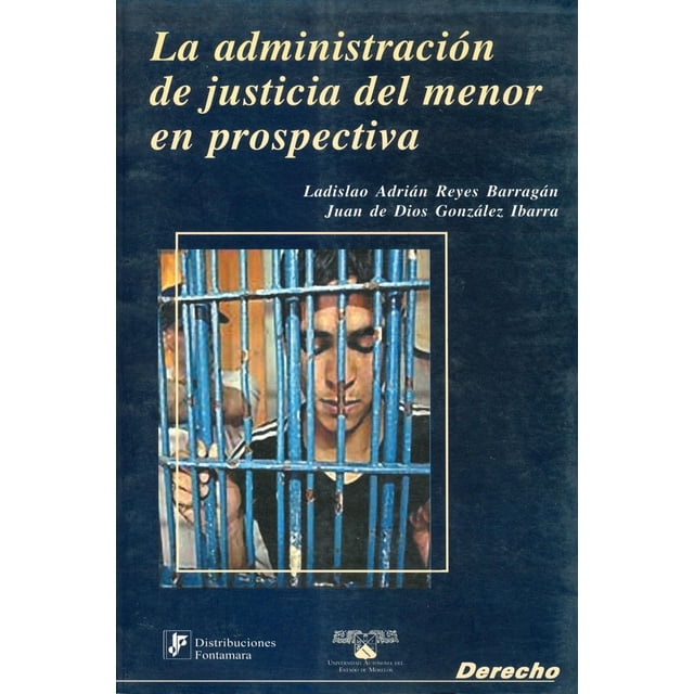 La administración de justicia del menor en prospectiva, de