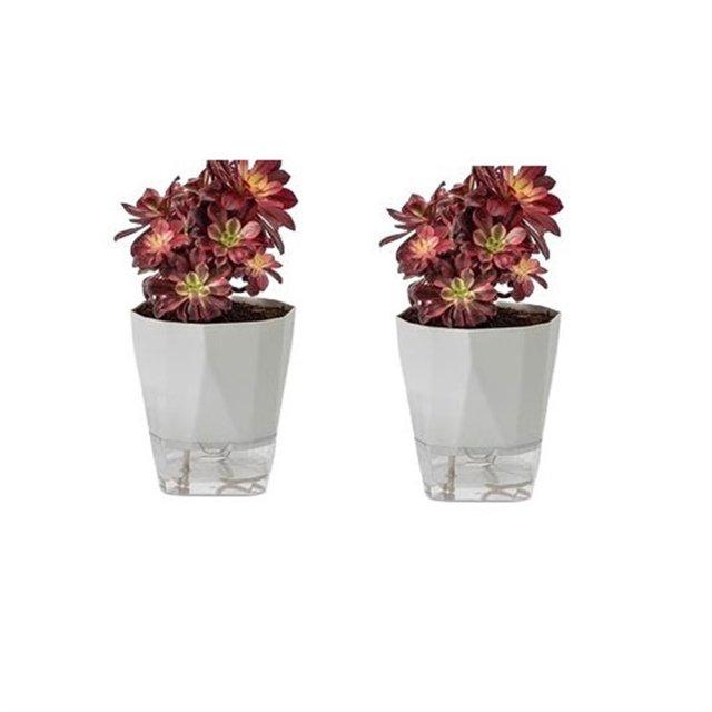 Macetas sin riego Macetas autoabsorbentes Macetas suculentas de orquídeas de balcón de plástico