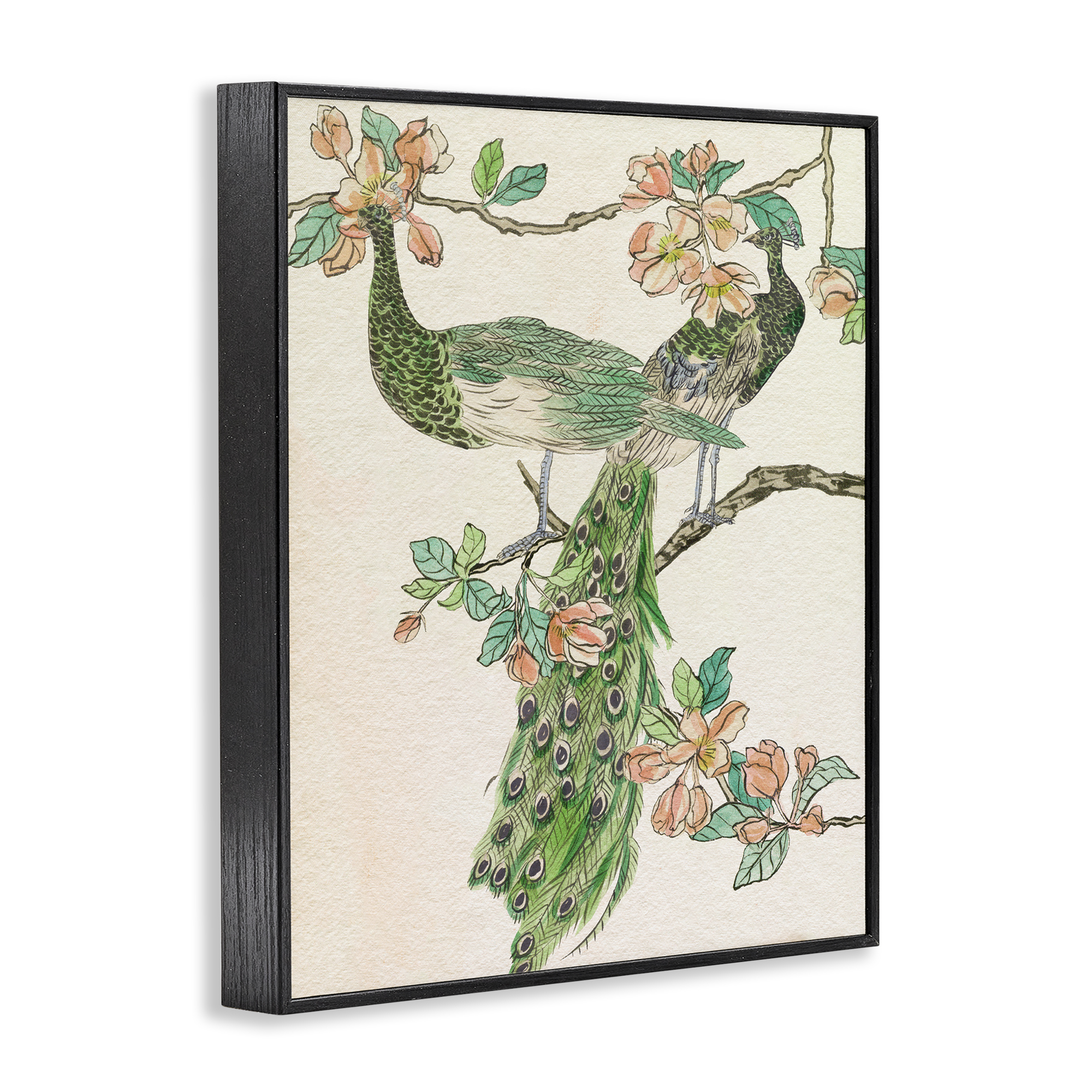 Stupell Industries Peacock & Cherry Blossoms Animals & Insects Painting Black Framed Art Print Wall Art, 11 x 14
